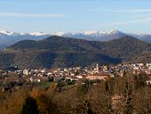 Olot