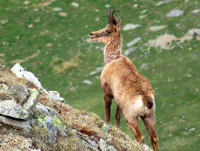 Boumort Sauvage (2 jours) Boumort Sauvage (2 jours)