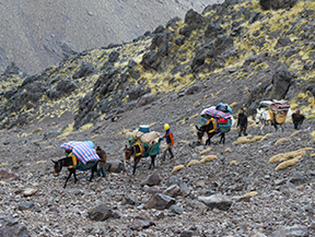 Ascension trekking au Toubkal (6 jours)