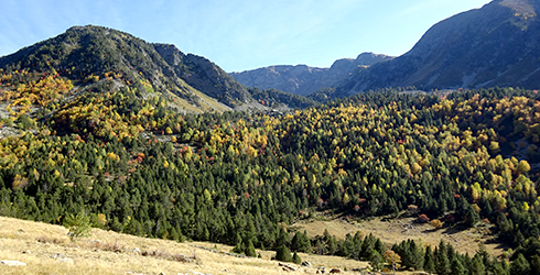 Parc naturel de la vallée de Sorteny
