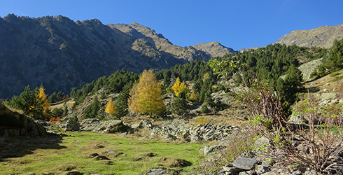 Paroisse de La Massana