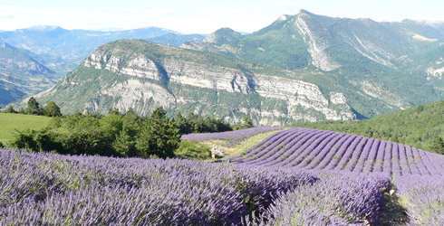 Provence-Alpes-Côte d´Azur 