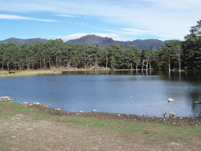 Bassa d´Oles et forêt de Varicauba