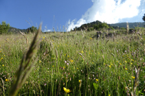 Prairies sur le petit village d´Aixàs.