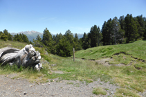 Chemin du col de Montaner en direction des Cortals de Sispony.