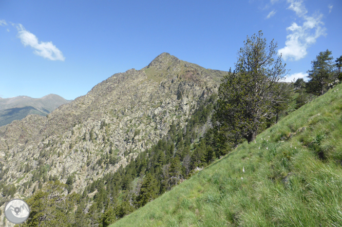 Bony de la Pica (2402 m) depuis la Margineda 1 