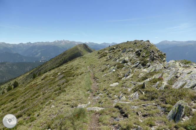 Bony de la Pica (2402 m) depuis la Margineda 1 