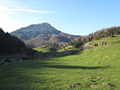 Forêt de Gamueta depuis le refuge de Linza