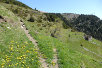 Chemin vers la borda en ruines.