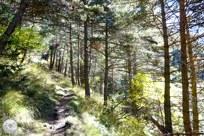 Chemin de Percanela - Les Fonts - Pla de l