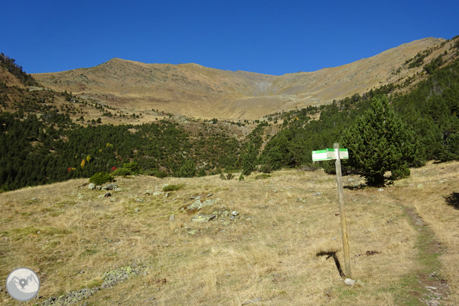 Chemin de Percanela - Les Fonts - Pla de l