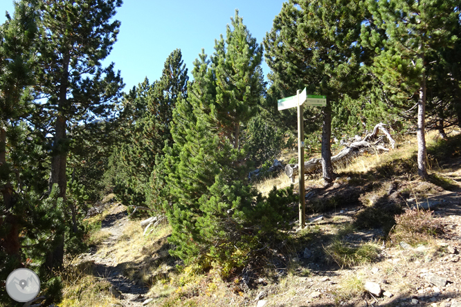 Chemin de Percanela - Les Fonts - Pla de l