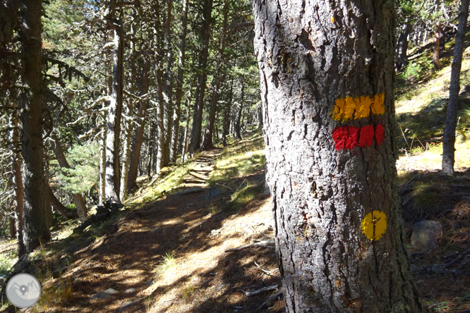 Chemin de Percanela - Les Fonts - Pla de l