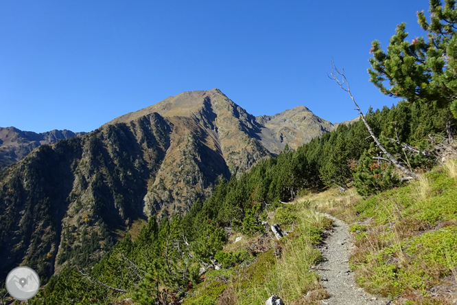 Chemin de Percanela - Les Fonts - Pla de l