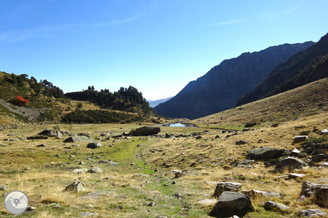 Chemin de Percanela - Les Fonts - Pla de l