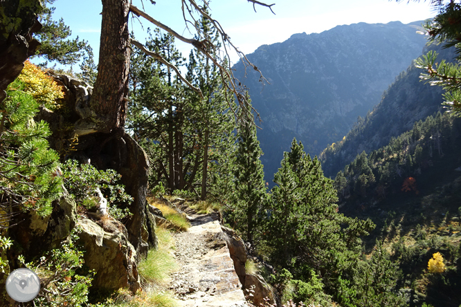 Chemin de Percanela - Les Fonts - Pla de l