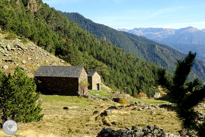 Chemin de Percanela - Les Fonts - Pla de l