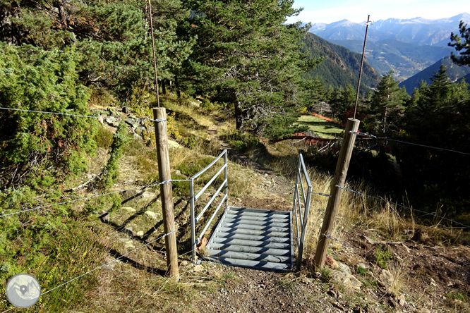 Chemin de Percanela - Les Fonts - Pla de l