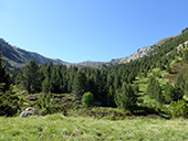 Chemin de Prat Primer et forêt de la Caülla