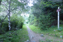 Croisement du chemin de l´Avier.