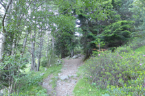 Entre la forêt riveraine et la sapinière.