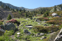 Plaine de Prat Primer avec le col de Prat Primer dans le fond.