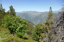 Vues sur la sierra d´Enclar depuis le chemin des Certeresos.