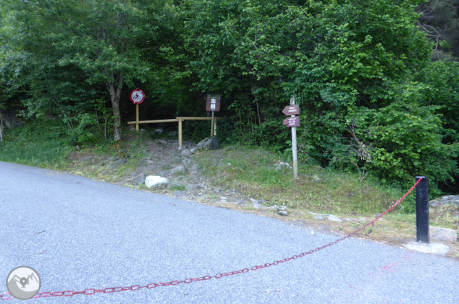 Chemin de Prat Primer et forêt de la Caülla 1 