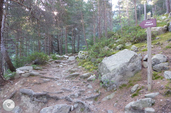 Chemin de Prat Primer et forêt de la Caülla 1 