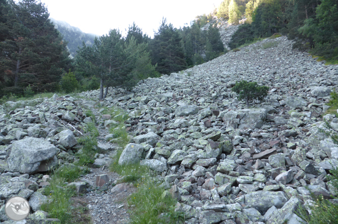 Chemin de Prat Primer et forêt de la Caülla 1 