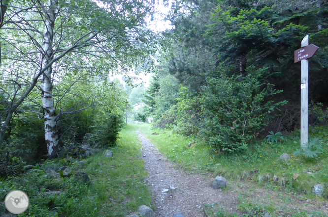 Chemin de Prat Primer et forêt de la Caülla 1 