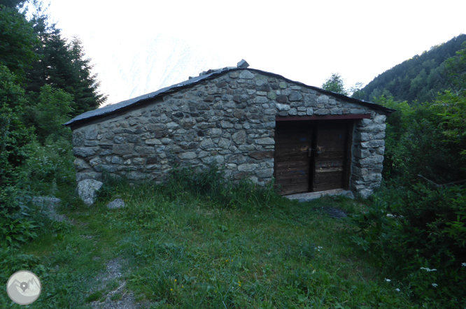 Chemin de Prat Primer et forêt de la Caülla 1 