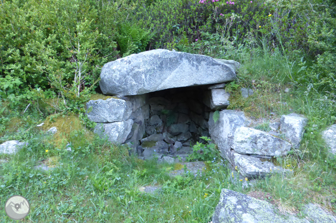 Chemin de Prat Primer et forêt de la Caülla 1 