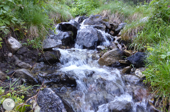 Chemin de Prat Primer et forêt de la Caülla 1 