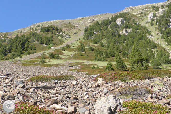 Chemin de Prat Primer et forêt de la Caülla 1 