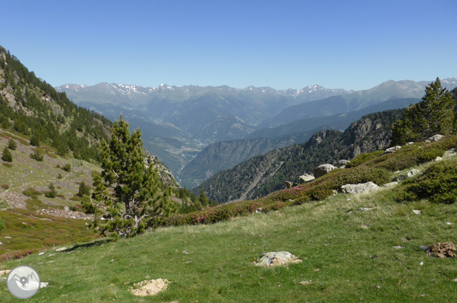 Chemin de Prat Primer et forêt de la Caülla 1 