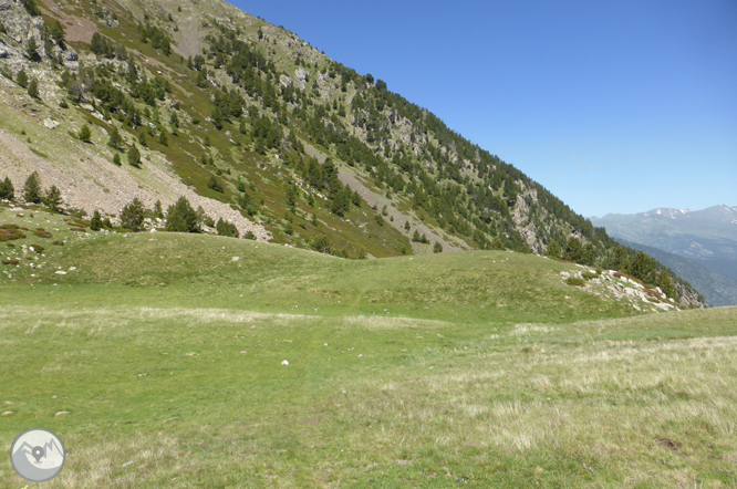 Chemin de Prat Primer et forêt de la Caülla 1 