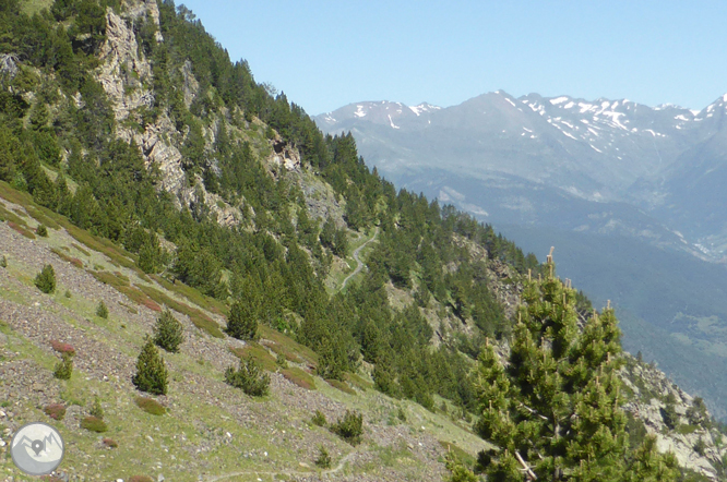 Chemin de Prat Primer et forêt de la Caülla 1 