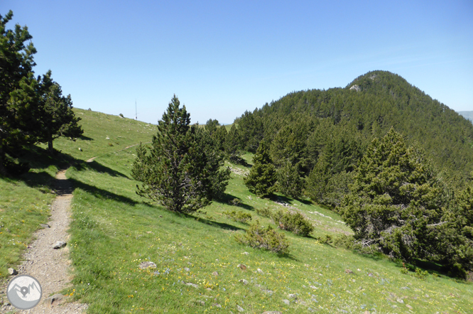 Chemin de Prat Primer et forêt de la Caülla 1 