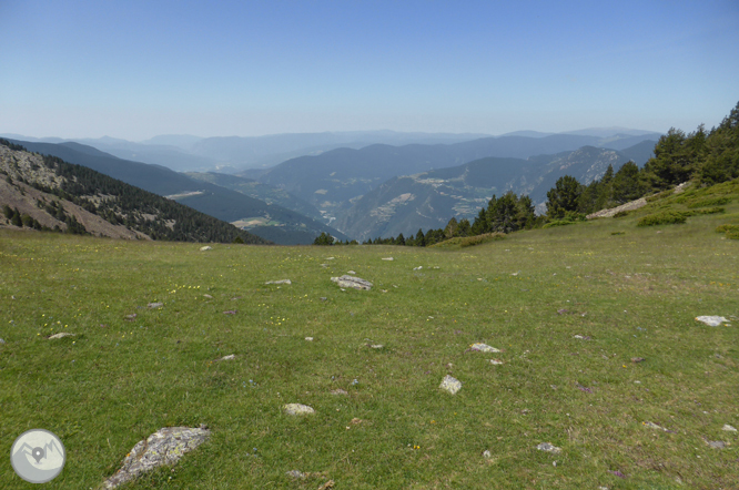 Chemin de Prat Primer et forêt de la Caülla 1 