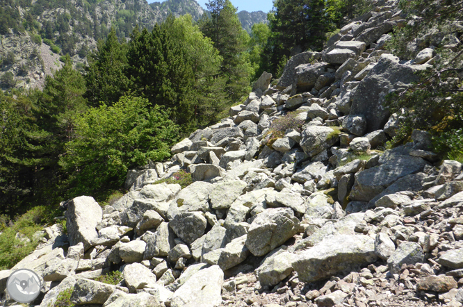 Chemin de Prat Primer et forêt de la Caülla 1 