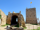 Le château de Saint Miquel despuis Girona