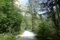 Chemin de terre en bon état.