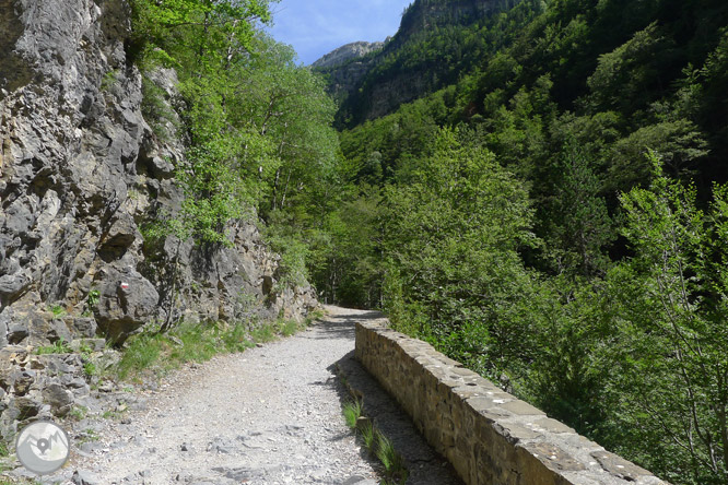 Queue de Cheval par les Gradas de Soaso 1 