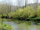 Les gorges del Ter et la montagne des Sants Metges