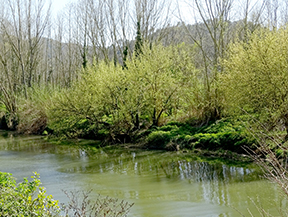 Les gorges del Ter et la montagne des Sants Metges