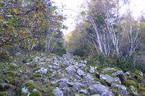 Petite zone rocailleuse près de Boïgot.