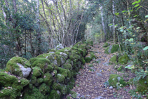 Chemin délimité par des murs de pierre sèche.