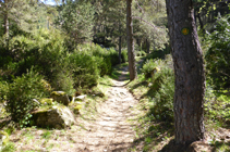 Chemin du canal de la Tossa.