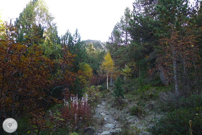 Lac et pic de l